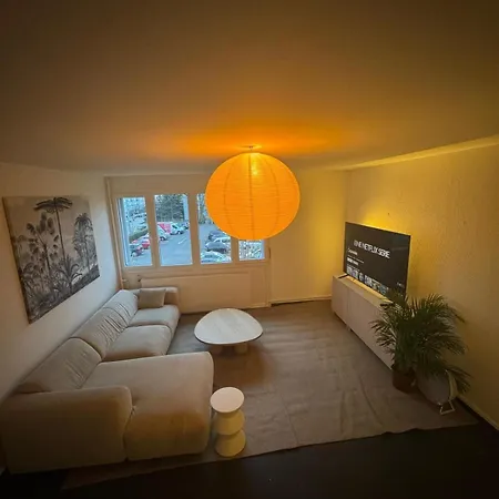 Spacious 3 Bedroom Duplex, Netflix, Remote Work * Geneva